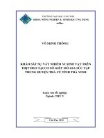 khảo sát sự vây nhiễm vi sinh vạt trên thịt heo tại cơ sở giết mổ gia súc tập trung huyện trà cú  tỉnh trà vinh