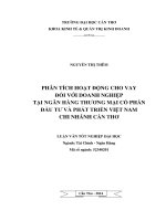 phân tích hoạt động cho vay đối với doanh nghiệp tại ngân hàng thương mại cổ phần đầu tư và phát triển việt nam chi nhánh cần thơ