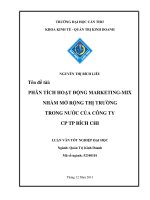 phân tích hoạt động marketingmix nhằm mở rộng thị trường trong nước của công ty cp tp bích chi