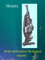 Bài giảng sinh học lớp 6 thao giảng tham khảo bài cấu tạo tế bào thực vật (6) 