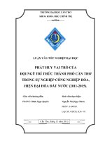 phát huy vai trò của đội ngũ trí thức thành phố cần thơ trong sự nghiệp công nghiệp hóa, hiện đại hóa đất nước (20112015).