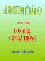 Bài giảng điện tử mầm non lớp Mầm đề tài Khám phá khoa học con mèo, con gà trống