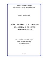 phân tích năng lực cạnh tranh của agribank chi nhánh thành phố cần thơ