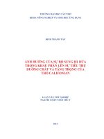 ảnh hưởng của sự bổ sung bã dừa trong khâu phần lên sự tiêu thụ dưỡng chất và tăng trọng của thỏ califonian