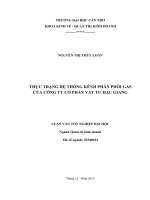 thực trạng hệ thống kênh phân phối gas của công ty cổ phần vật tư hậu giang