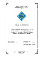 đánh giá hiện trạng quản lý và xử lý bùn cống rãnh ở một số tỉnh đbscl và nghiên cứu xử lý bùn cống rãnh bằng phương pháp ủ phân compost