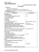 GIAO AN TNXH TUAN 28   LOP 1