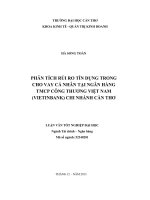 phân tích rủi ro tín dụng trong cho vay ca nhân tại ngân hàng tmcp công thương việt nam (viettinbank) chi nhánh cần thơ