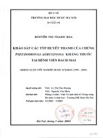Khảo sát các týp huyết thanh của chủng pseudomonas aeruginosa kháng thuốc tại bệnh viện bạch mai