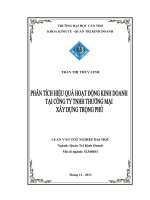 phân tích hiệu quả hoạt động kinh doanh tại công ty tnhh thương mại xây dựng trọng phú