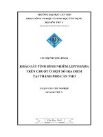 khảo sát tình hình nhiễm leptospira trên chuột ở một số địa điểm tại thành phố cần thơ