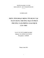 phân tích hoạt động tín dụng tại ngân hàng thương mại cổ phần phương namphòng giao dịch cần thơ