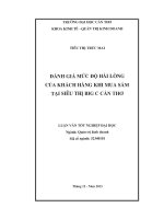 đánh giá mức độ hài lòng của khách hàng khi mua sắm tại siêu thị big c cần thơ