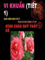 BÀI 50: VI KHUẨN