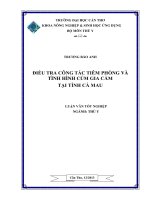 điều tra công tác tiêm phòng và tình hình cúm gia cầm tại tỉnh cà mau