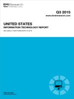 United states information technology report   q3 2015 