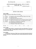 ĐỀ VÀ ĐÁP ÁN THI HỌC KÌ 2   LỚP 11 CƠ BẢN ( 2010 2011)