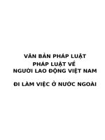 Văn bản pháp luật môn Pháp luật về đưa người việt nam đi làm việc ở nước ngoài