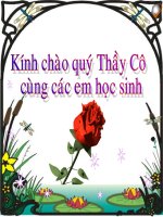 tiet 24 luyen tap quan he tu.ppt