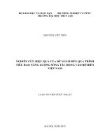 Nghiên cứu hiệu quả của đê ngầm đến quá trình tiêu hao năng lượng sóng tác động vào bờ biển Việt Nam