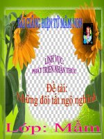 Bài giảng điện tử mầm non lớp Mầm đề tài Những đôi tất ngộ nghĩnh