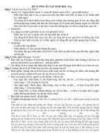 Một số câu hỏi ôn tập HK2