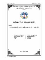 Báo cáo tổng hợp tại Công ty cổ phần xây dựng số 1 Hà Nội