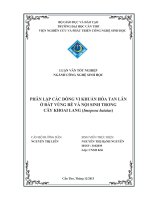 phân lập các dòng vi khuẩn hòa tan lân ở đất vùng rễ và nội sinh trong cây khoai lang (imopoea batatas)