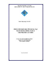 phân tích rủi ro tín dụng tại ngân hàng đông nam á chi nhánh cần thơ