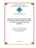 Một số giải pháp hoàn thiện hệ thống kênh phân phối xăng dầu tại công ty cổ phần dầu khí mêkong