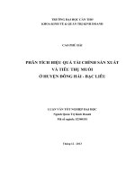 phân tích hiệu quả tài chính sản xuất và tiêu thụ muối ở huyện đông hải  bạc liêu