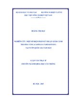 nghiên cứu một số biện pháp kỹ thuật giâm cành trà hoa vàng (camellia tamdaoensis) tại vườn quốc gia tam đảo