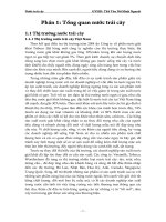 Luận văn Công nghệ sản xuất nước trái cây