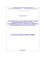 thành phần sâu hại; đặc điểm sinh học và biện pháp phòng trừ sâu đục gân lá vải conopomorpha litchiella bradley (lepidoptera gracilariidae) tại lục ngạn, bắc giang