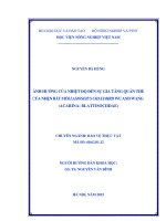 ảnh hưởng của nhiệt độ đến sự gia tăng quần thể của nhện bắt mồi lasioseius chaudhrii wu and wang (acarina blattisociidae)