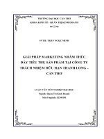 giải pháp marketing nhằm thúc đẩy tiêu thụ sản phẩm tại công ty trách nhiệm hữu hạn thanh long – cần thơ