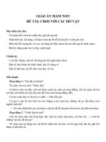 Giáo án đề tài chơi với các đồ vật (chương trình đổi mới) 