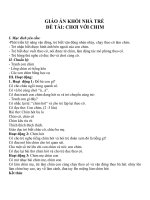 Giáo án đề tài chơi với chim (khối nhà trẻ) 