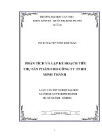 phân tích và lập kế hoạch tiêu thụ sản phẩm cho công ty tnhh minh thành