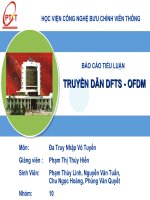 TIỂU LUẬN TRUYỀN dẫn DFTS   OFDM 
