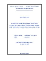 nghiên cứu ảnh hưởng của một số kĩ thuật (tưới nước, cắt tỉa và che sáng) đến sinh trưởng phát triển của cây đinh lăng tại gia lâm   hà nội