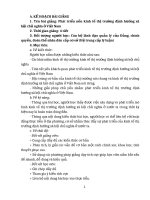 Kế hoạch bài giảng: Phát triển nền kinh tế thị trường định hướng xã hội chủ nghĩa ở Việt Nam