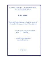 phát triển nguồn nhân lực cán bộ cho xây dựng nông thôn mới tại huyện vụ bản, tỉnh nam định