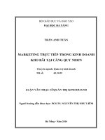 Luận văn thạc sĩ marketing trực tiếp trong kinh doanh kho bãi tại cảng quy nhơn  