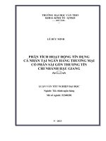 phân tích hoạt động tín dụng cá nhân tại ngân hàng thương mại cổ phần sài gòn thương tín chi nhánh hậu giang