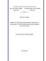 nghiên cứu một số đặc điểm sinh học, sinh thái của mọt hại quả cà phê hypothenemus hampei (ferrari) vùng tây nguyên