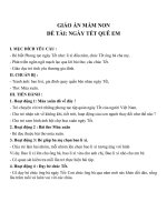 Giáo án đề tài ngày tết quê em (lớp chồi) 