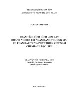 phân tích tình hình cho vay doanh nghiệp tại ngân hàng thương mại cổ phần đầu tư và phát triển việt nam chi nhánh bạc liêu