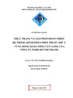thực trạng và giải pháp hoàn thiện hệ thống kênh phân phối thuốc thú y vùng đồng bằng sông cửu long của công ty tnhh huỳnh thanh