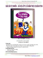 Giáo án tự nhiên xã hội lớp 2 cả năm theo chuẩn KTKN